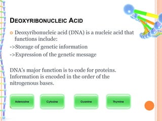 DEOXYRIBONUCLEIC ACID
 Deoxyribonucleic acid (DNA) is a nucleic acid that
functions include:
->Storage of genetic information
->Expression of the genetic message
DNA’s major function is to code for proteins.
Information is encoded in the order of the
nitrogenous bases.

 