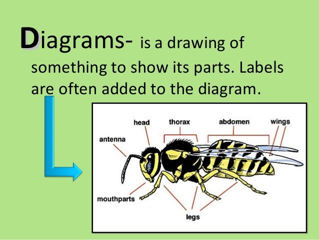 Buggy Text Features