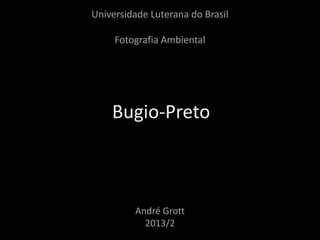Universidade Luterana do Brasil
Fotografia Ambiental

Bugio-Preto

André Grott
2013/2

 
