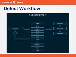 Bug life cycle | PPTX