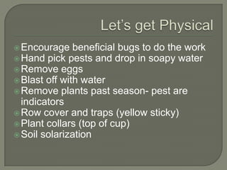 Encourage

beneficial bugs to do the work
 Hand pick pests and drop in soapy water
 Remove eggs
 Blast off with water
 Remove plants past season- pest are
indicators
 Row cover and traps (yellow sticky)
 Plant collars (top of cup)
 Soil solarization

 