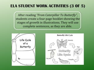ELA STUDENT WORK ACTIVITIES (3 0F 5) After reading  “From Caterpillar To Butterfly” , students create a four page booklet showing the stages of growth in illustrations. They will use complete sentences, as they are able.  