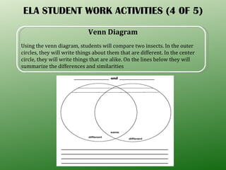 ELA STUDENT WORK ACTIVITIES (4 0F 5) Venn Diagram Using the venn diagram, students will compare two insects. In the outer circles, they will write things about them that are different. In the center circle, they will write things that are alike. On the lines below they will summarize the differences and similarities  