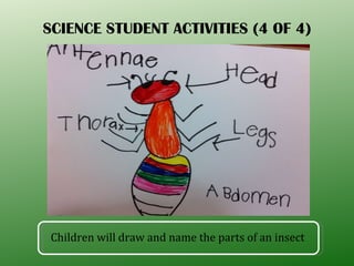 SCIENCE STUDENT ACTIVITIES (4 OF 4) Children will draw and name the parts of an insect 