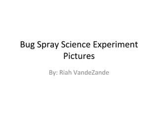 Bug Spray Science Experiment Pictures By: Riah VandeZande 