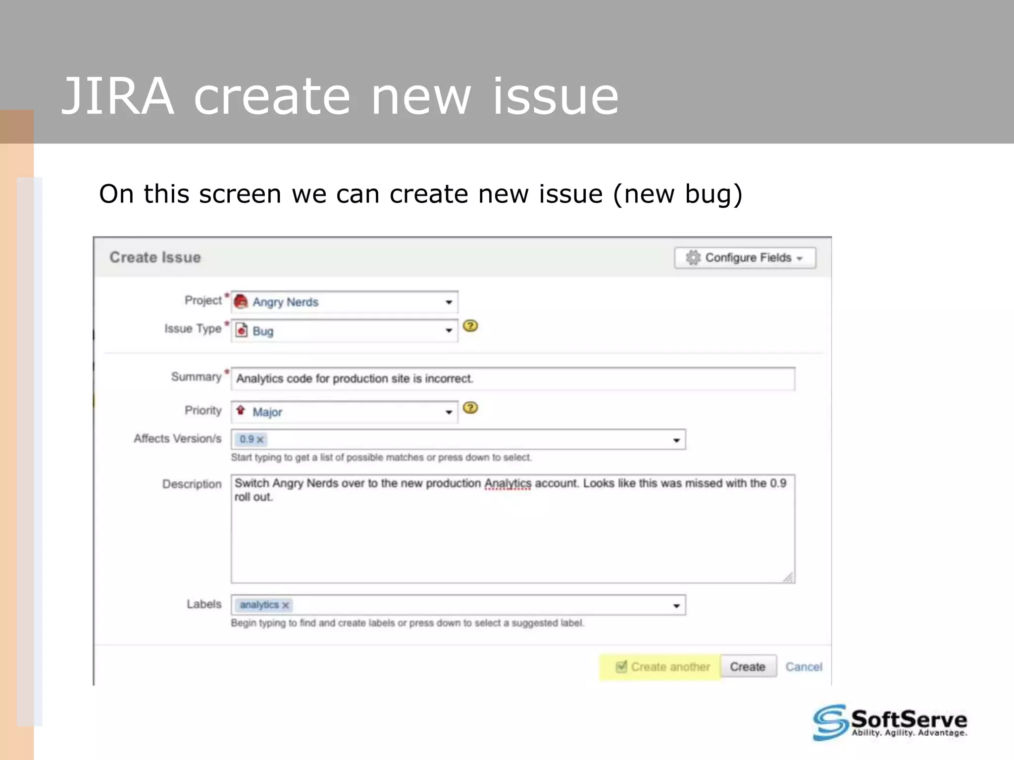 JIRA create new issue
On this screen we can create new issue (new bug)
 