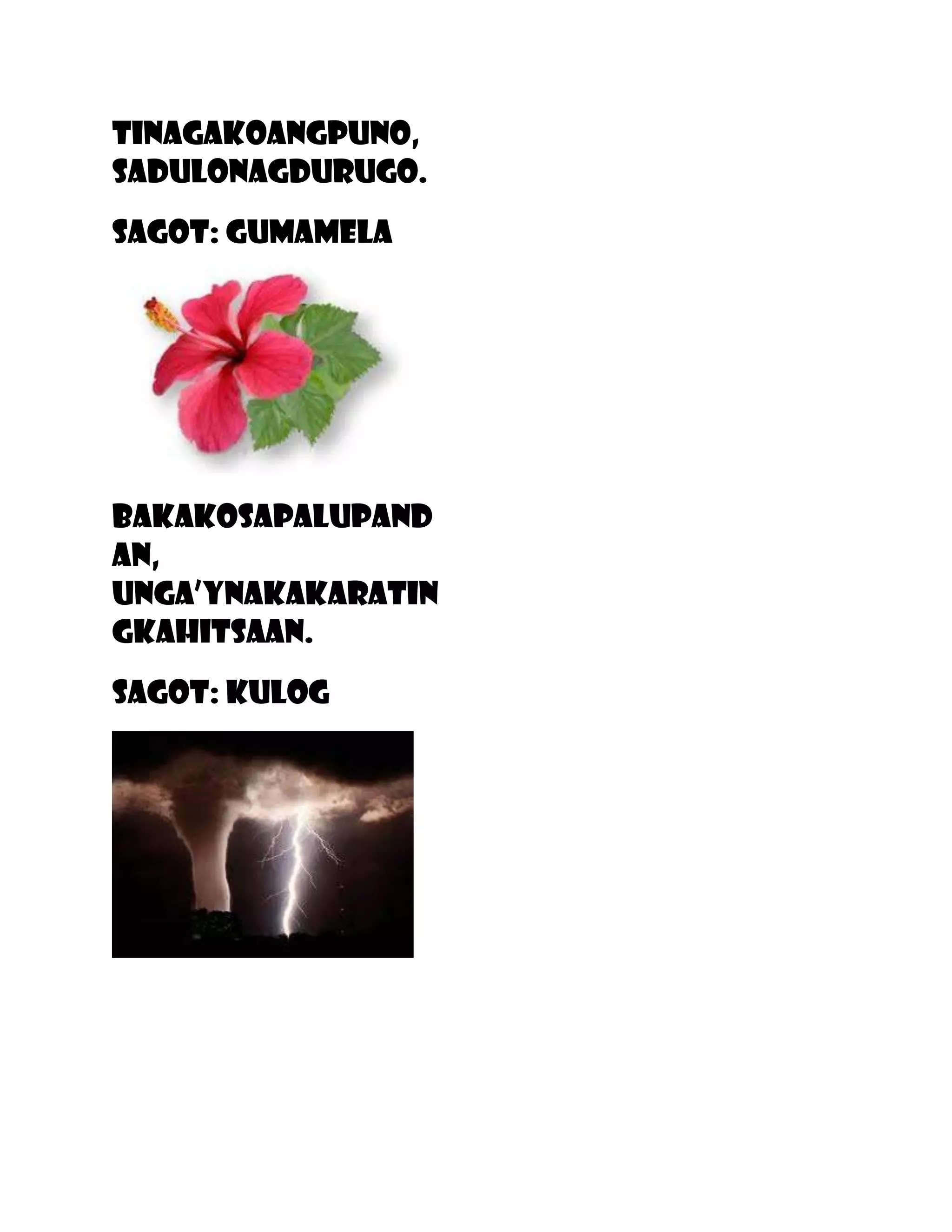 Tinagakoangpuno,
sadulonagdurugo.
Sagot: gumamela




Bakakosapalupand
an,
unga’ynakakaratin
gkahitsaan.
Sagot: kulog
 