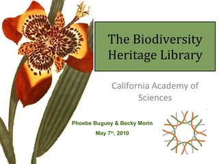 The Biodiversity Heritage Library California Academy of Sciences Phoebe Buguey & Becky Morin May 7 th , 2010 
