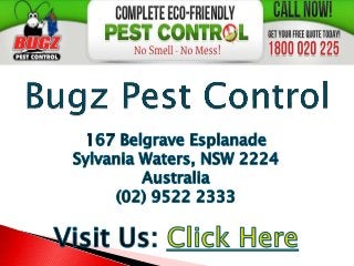 Pest Control - Bugz Pest Control (02) 9522 2333