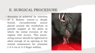 Large-Animal_Buhner-Suture-MethodsDIANITO.pptx