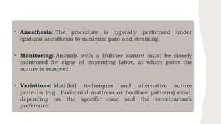 Large-Animal_Buhner-Suture-MethodsDIANITO.pptx