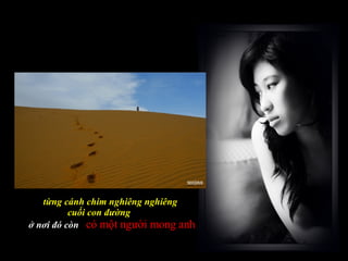 từng cánh chim nghiêng nghiêng  cuối con đường ở nơi đó còn   có một người mong anh 