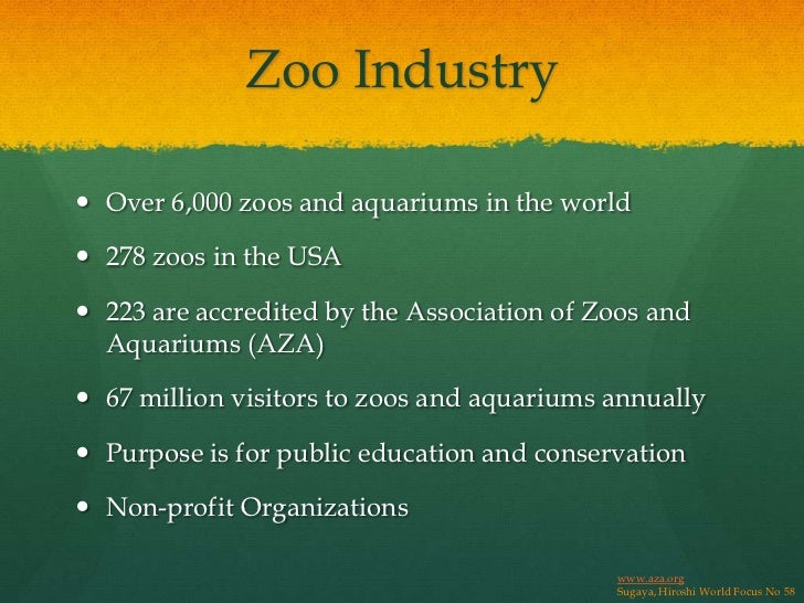 History of zoos image