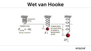 Wet van Hooke
 