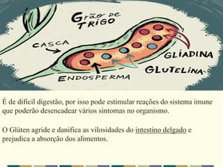 É de difícil digestão, por isso pode estimular reações do sistema imune
que poderão desencadear vários sintomas no organismo.
O Glúten agride e danifica as vilosidades do intestino delgado e
prejudica a absorção dos alimentos.
 
