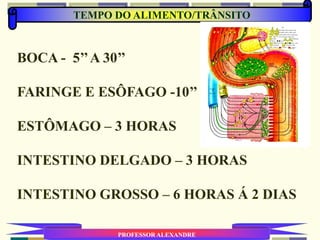 PROFESSOR ALEXANDRE
TEMPO DO ALIMENTO/TRÂNSITO
BOCA - 5’’A 30’’
FARINGE E ESÔFAGO -10’’
ESTÔMAGO – 3 HORAS
INTESTINO DELGADO – 3 HORAS
INTESTINO GROSSO – 6 HORAS Á 2 DIAS
 