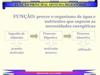 FUNÇÃO: prover o organismo de água e
nutrientes que suprem as
necessidades energéticas
Processo
Absortivo
utilização
Ingestão de
Alimento
grandes
moléculas
Processo
Digestivo
moléculas
menores
PROFESSOR ALEXANDRE
FUNÇÃO PRINCIPAL SISTEMA DIGESTÓRIO
 