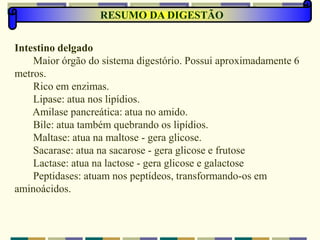 RESUMO DA DIGESTÃO
Intestino delgado
Maior órgão do sistema digestório. Possui aproximadamente 6
metros.
Rico em enzimas.
Lipase: atua nos lipídios.
Amilase pancreática: atua no amido.
Bile: atua também quebrando os lipídios.
Maltase: atua na maltose - gera glicose.
Sacarase: atua na sacarose - gera glicose e frutose
Lactase: atua na lactose - gera glicose e galactose
Peptidases: atuam nos peptídeos, transformando-os em
aminoácidos.
 