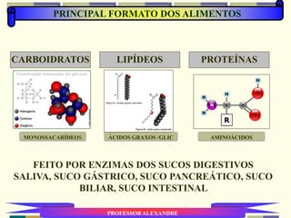 CARBOIDRATOS LIPÍDEOS PROTEÍNAS
MONOSSACARÍDEOS ÁCIDOS GRAXOS /GLIC AMINOÁCIDOS
PROFESSOR ALEXANDRE
PRINCIPAL FORMATO DOS ALIMENTOS
FEITO POR ENZIMAS DOS SUCOS DIGESTIVOS
SALIVA, SUCO GÁSTRICO, SUCO PANCREÁTICO, SUCO
BILIAR, SUCO INTESTINAL
 