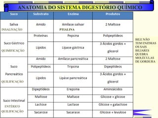 PROFESSOR ALEXANDRE
ANATOMIA DO SISTEMA DIGESTÓRIO QUÍMICO
INSALIVAÇÃO
QUIMIFICAÇÃO
QUILIFICAÇÃO
QUILIFICAÇÃO
ENTÉRICO
PTIALINA
BILE NÃO
TEM ENZIMAS
OS SAIS
BILIARES
QUEBRA
MOLÉCULAS
DE GORDURA
 