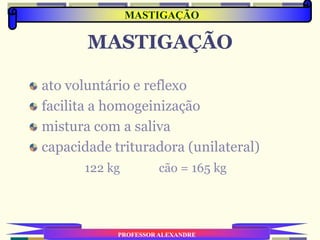 MASTIGAÇÃO
ato voluntário e reflexo
facilita a homogeinização
mistura com a saliva
capacidade trituradora (unilateral)
122 kg cão = 165 kg
PROFESSOR ALEXANDRE
MASTIGAÇÃO
 