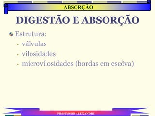 DIGESTÃO E ABSORÇÃO
Estrutura:
• válvulas
• vilosidades
• microvilosidades (bordas em escôva)
PROFESSOR ALEXANDRE
ABSORÇÃO
 