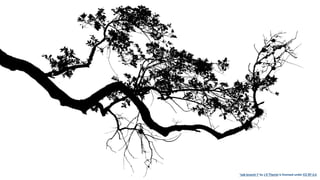 "oak branch 1" by J E Theriot is licensed under CC BY 2.0
 