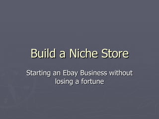 Build a Niche Store Starting an Ebay Business without losing a fortune 