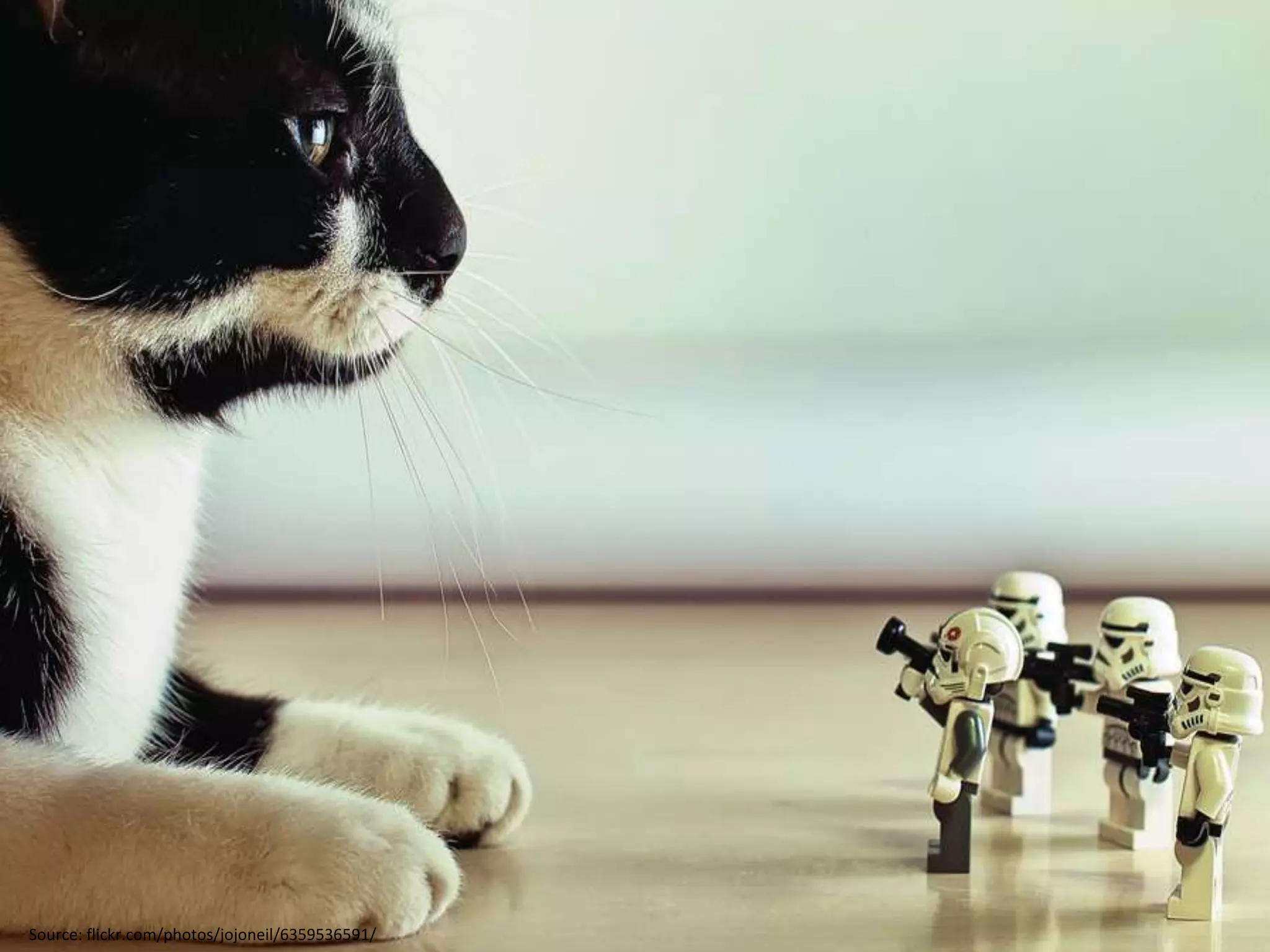 Source: flickr.com/photos/jojoneil/6359536591/
 