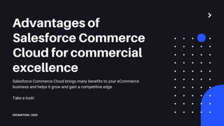 Build powerhouse-b2b-storefront-salesforce docmation