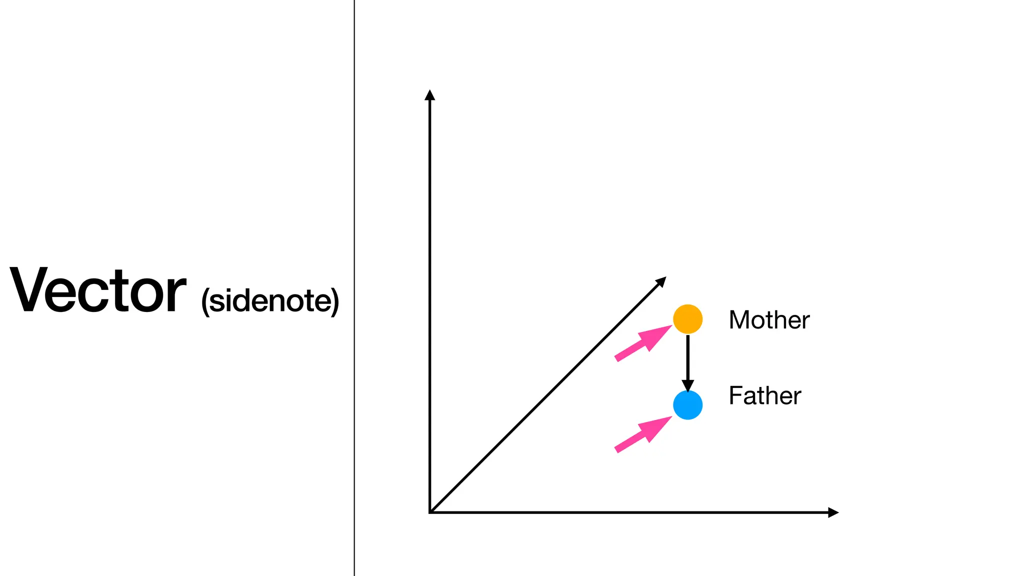Vector (sidenote)
Mother
Father
 