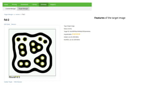 Features of the target image
 