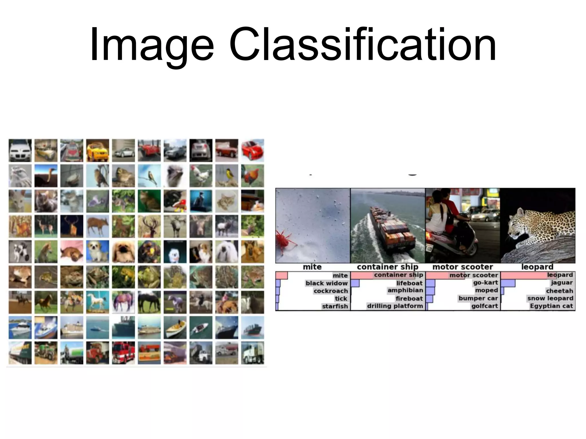 Image Classification
 