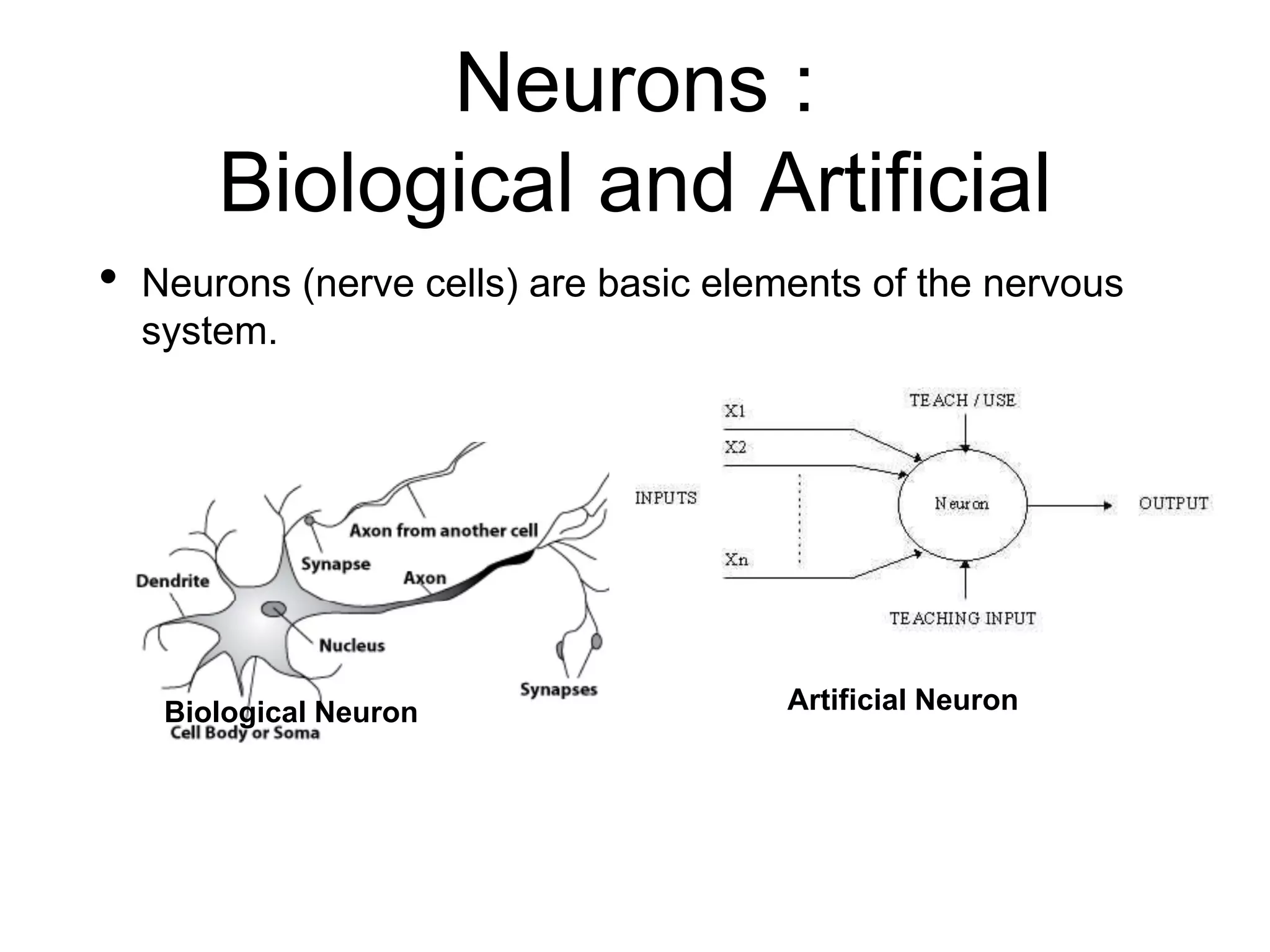 Neurons :
Biological and Artificial
• Neurons (nerve cells) are basic elements of the nervous
system.
Biological Neuron Artificial Neuron
 