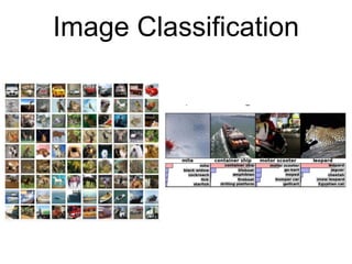 Image Classification
 
