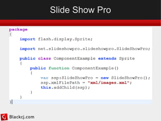 SWF animation or interactive components 