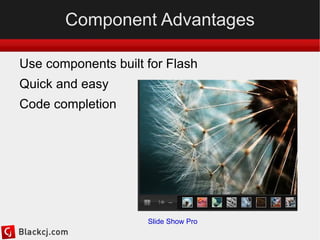 Flash IDE and Flash Catalyst (coming soon) for asset production 