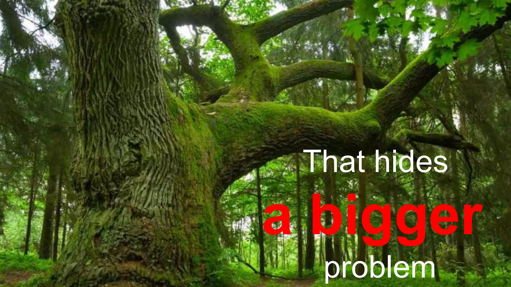 That hides
a bigger
problem
 