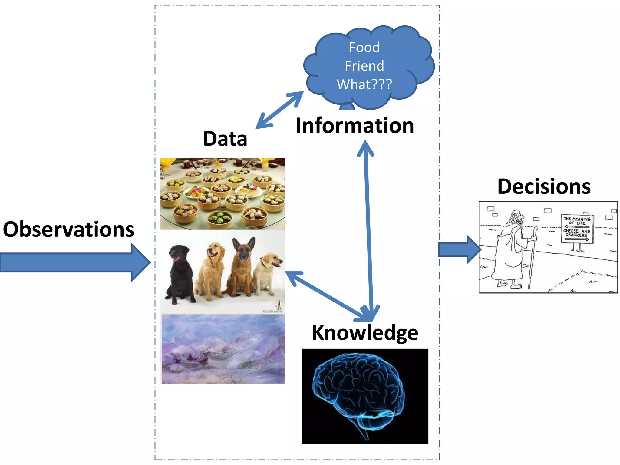 Decisions
Food
Friend
What???
Information
Data
Knowledge
Observations
 