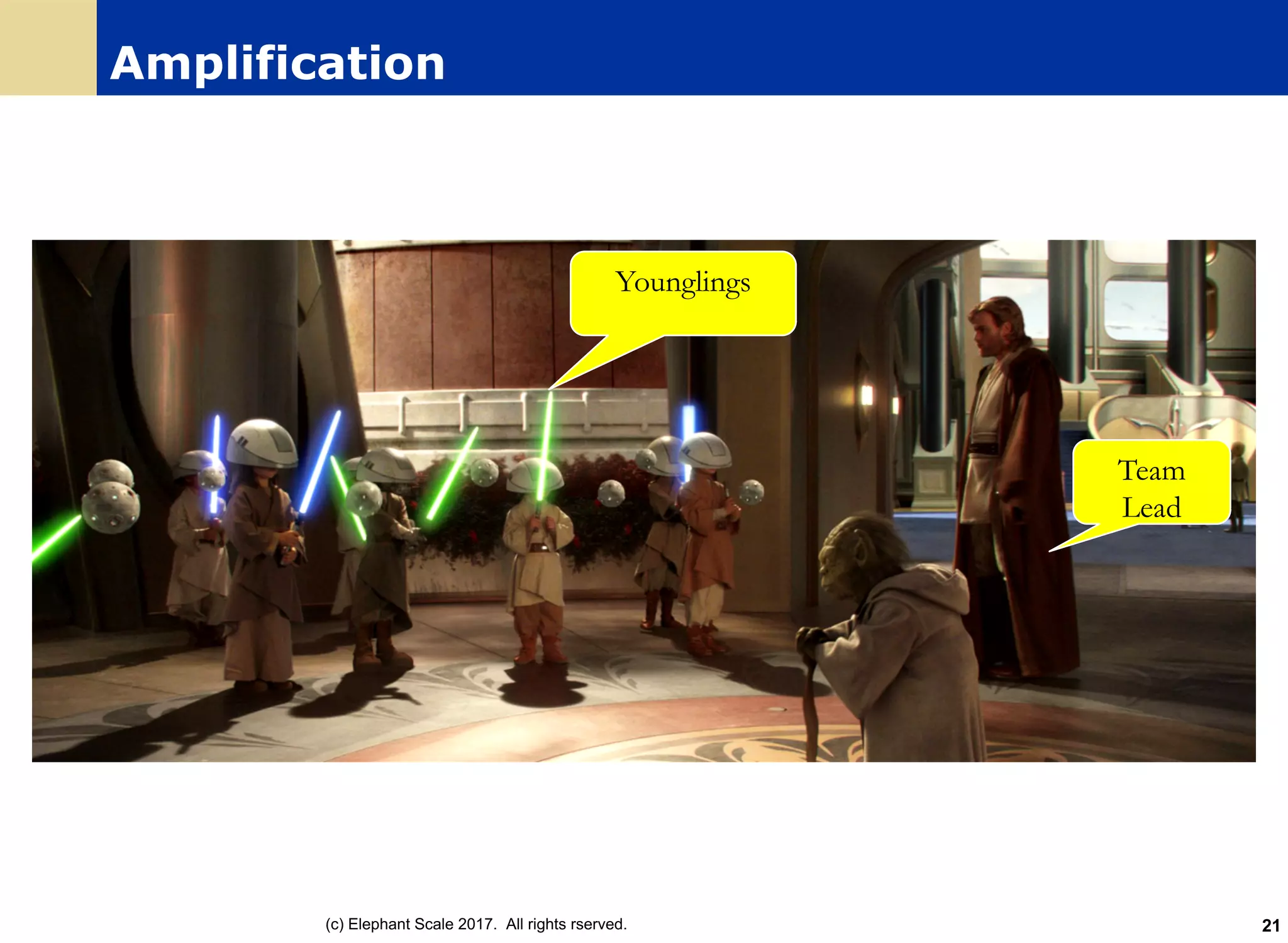 Amplification
Team
Lead
Younglings
(c) Elephant Scale 2017. All rights rserved. 21
 