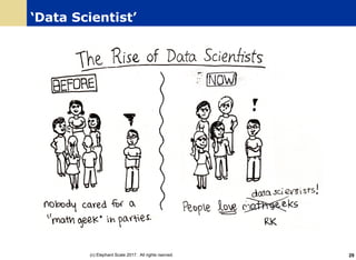 ‘Data Scientist’
(c) Elephant Scale 2017. All rights rserved. 29
 