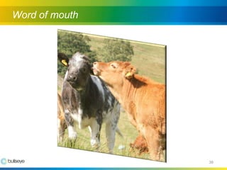 Building A Successful Online Community