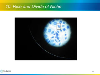 Building A Successful Online Community