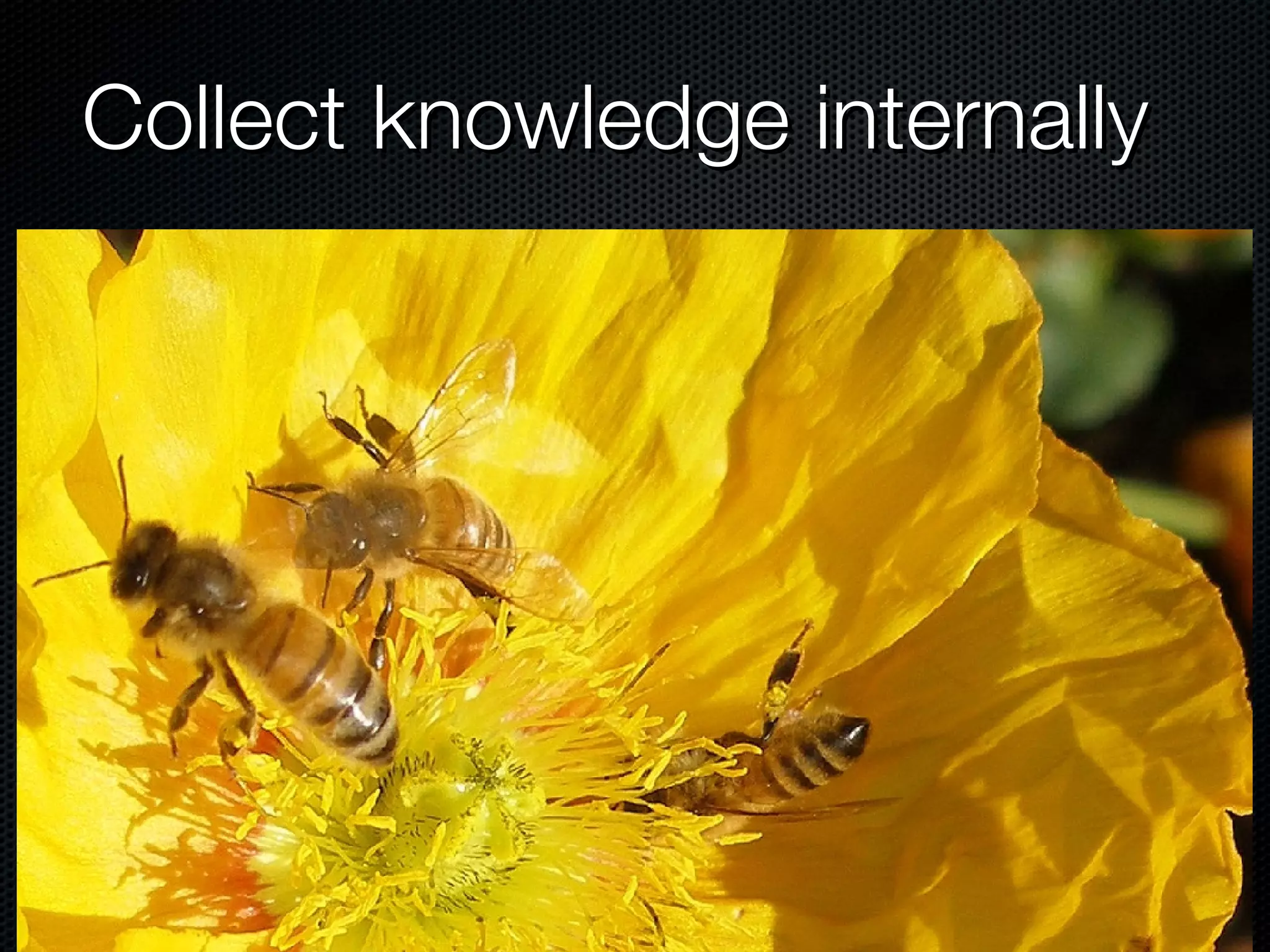 Collect knowledge internally