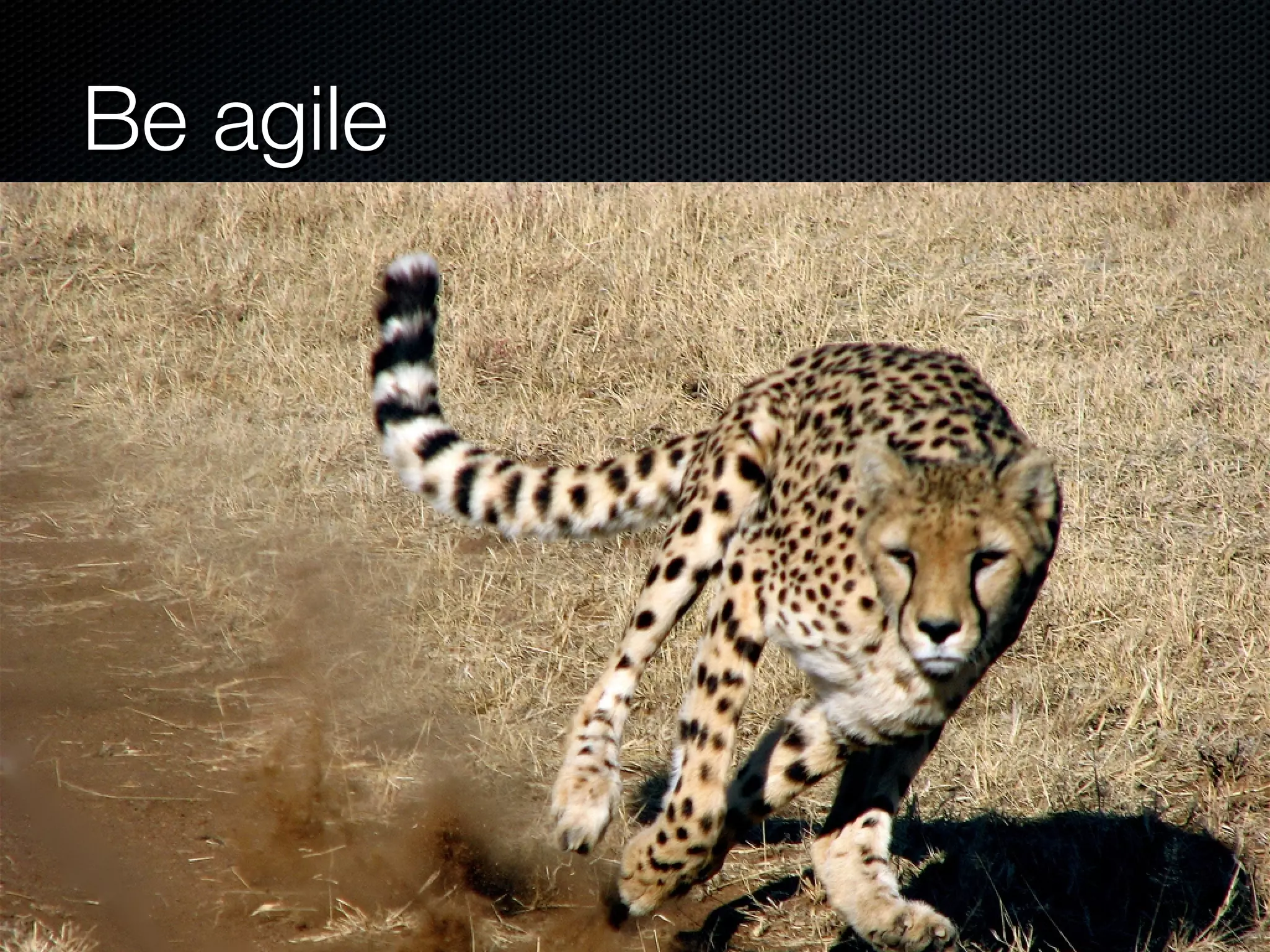 Be agile
