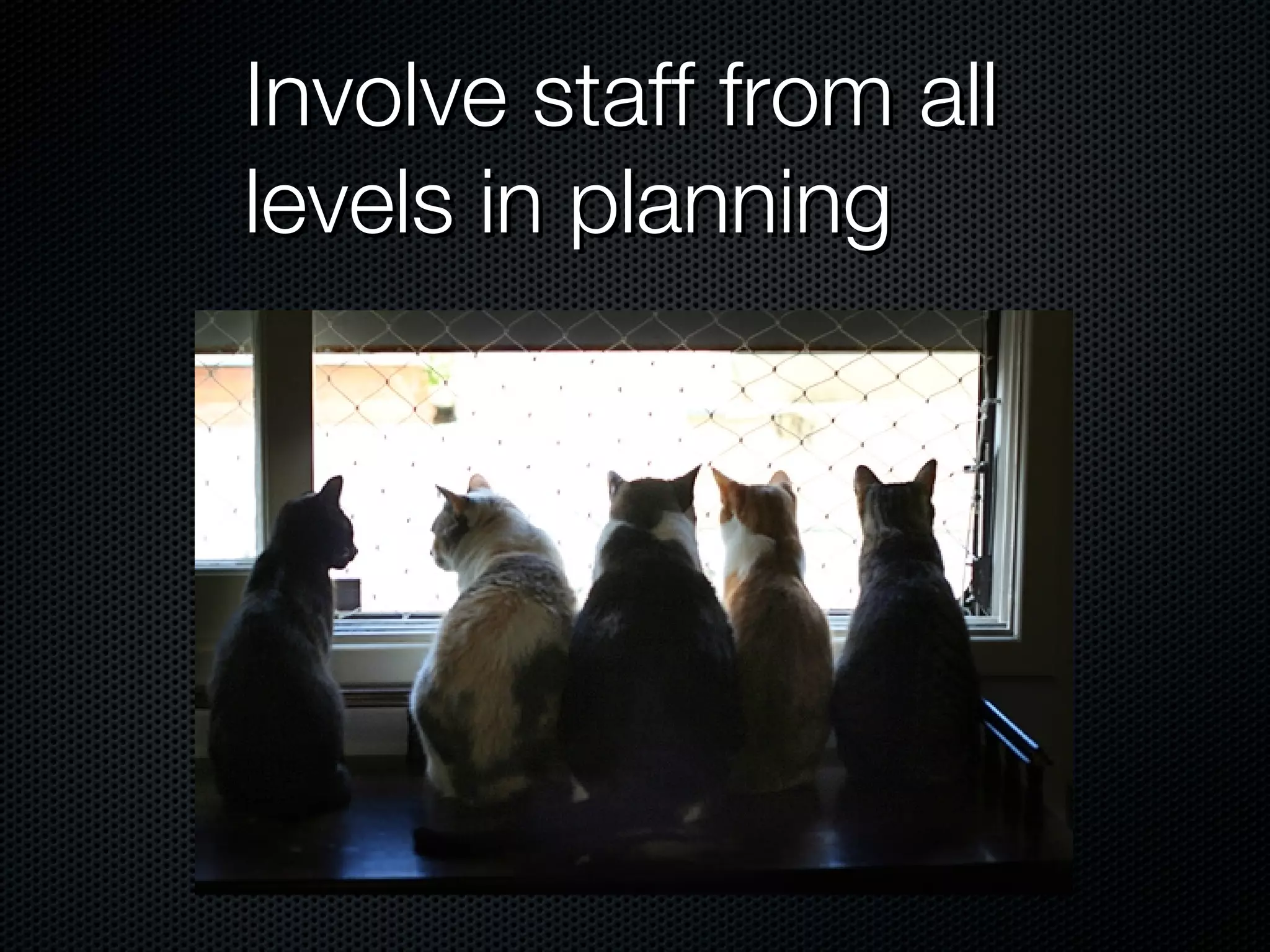 Involve staff from all levels in planning