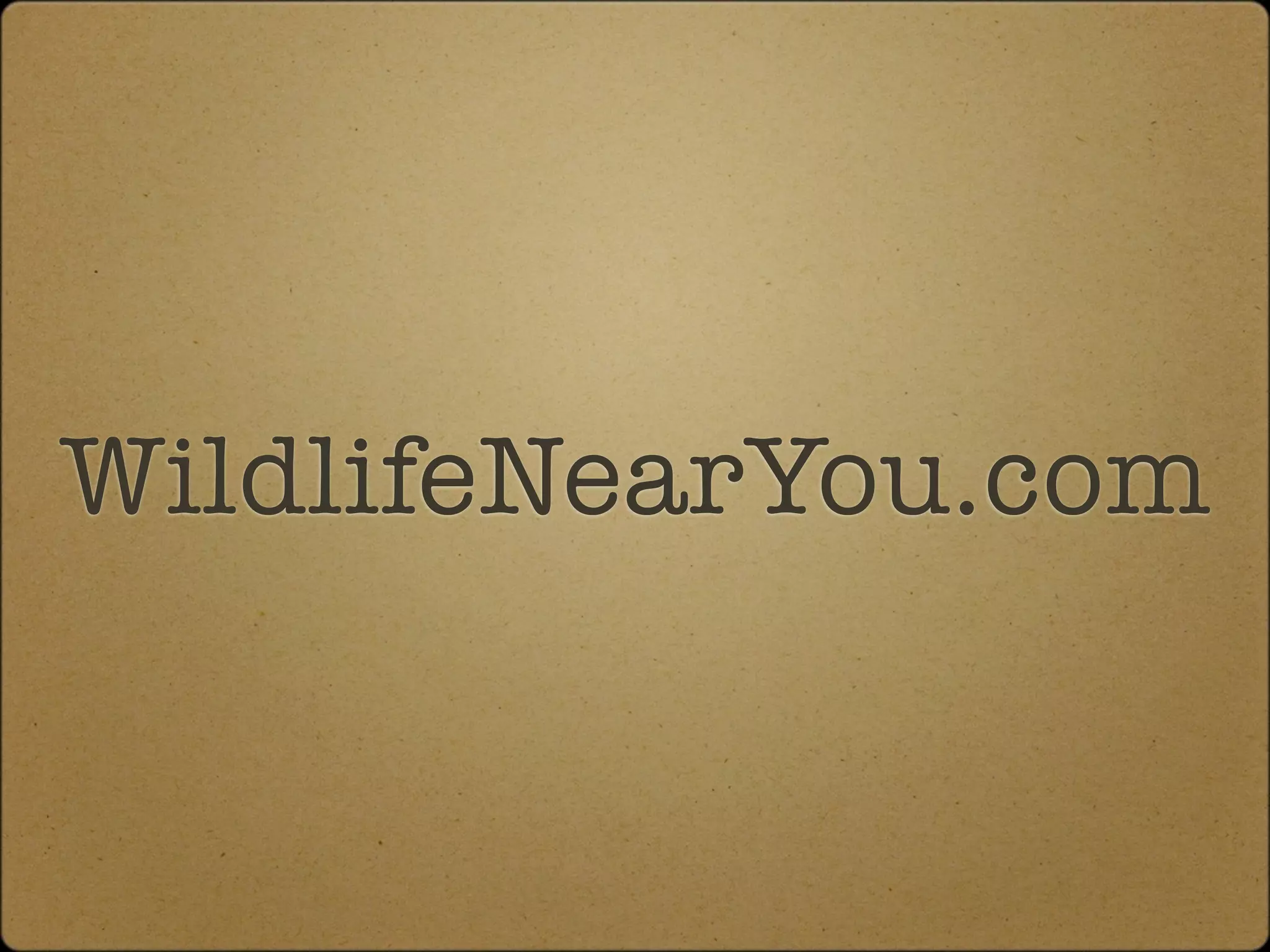 WildlifeNearYou.com
 