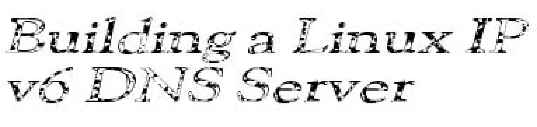 Building a Linux IPv6 DNS Server Anims (Promo)