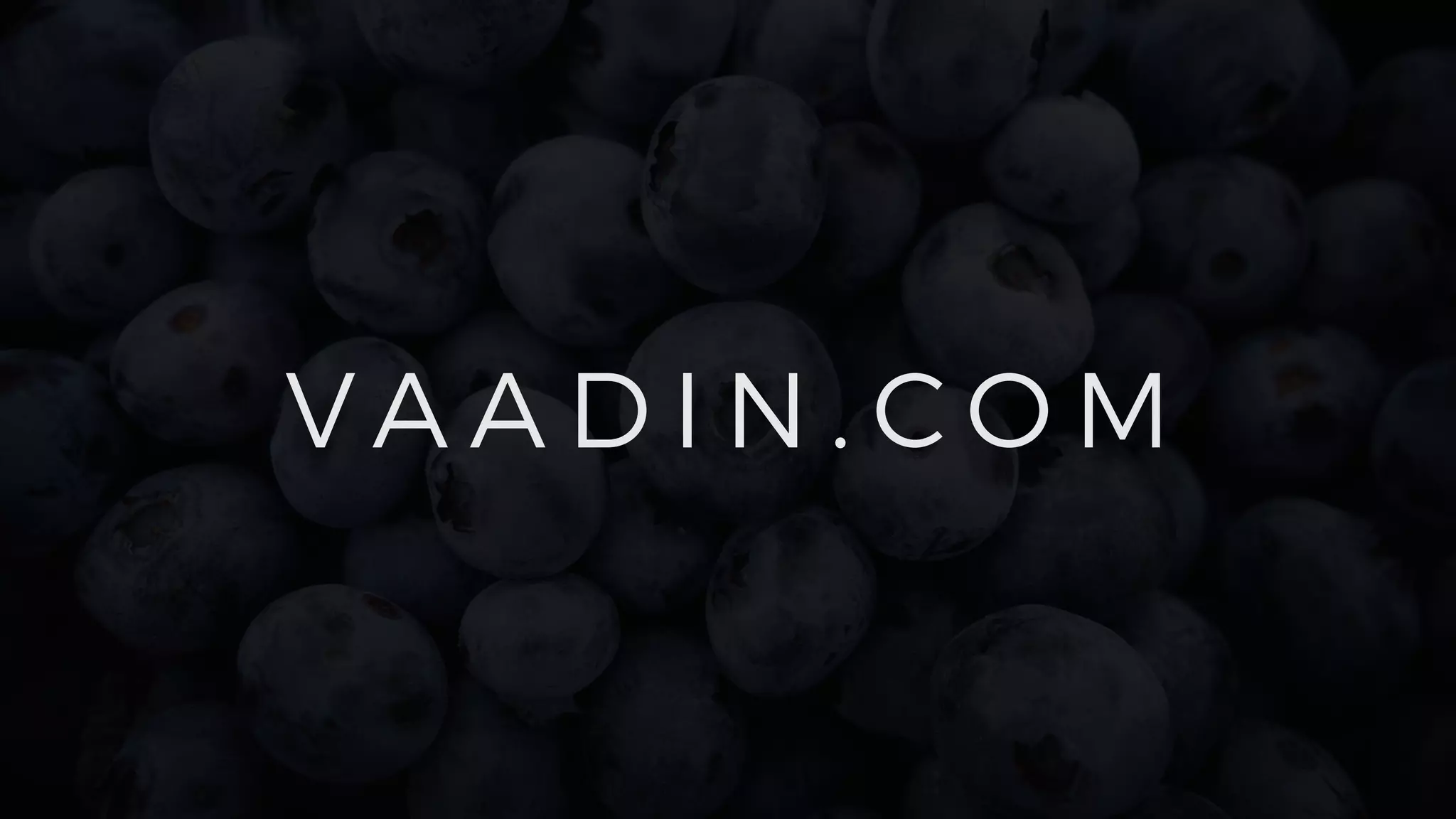 V A A D I N . C O M