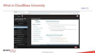 © 2020 All Rights Reserved. 12
What is CloudBees University
Labs (1)
 